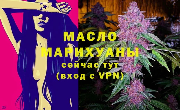 индика Арсеньев