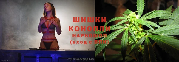 индика Арсеньев