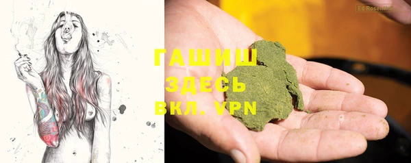 индика Арсеньев