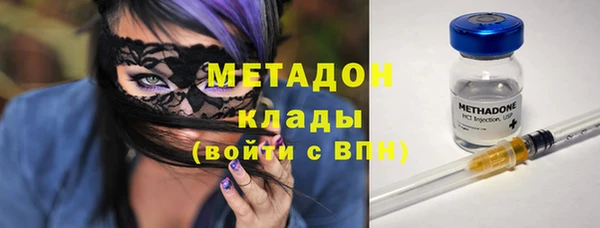 индика Арсеньев