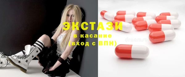 индика Арсеньев