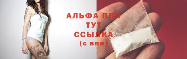 стафф Армянск