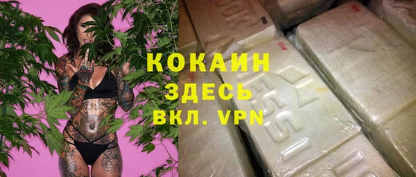 стафф Армянск