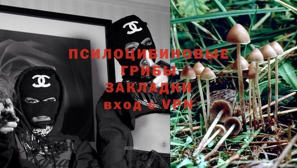 индика Арсеньев