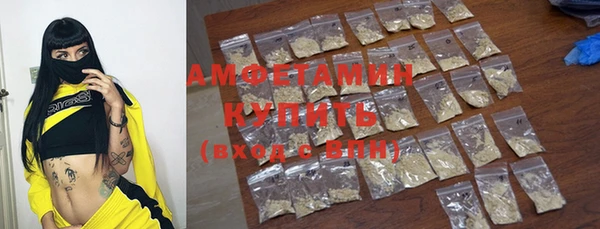индика Арсеньев