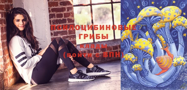 стафф Армянск