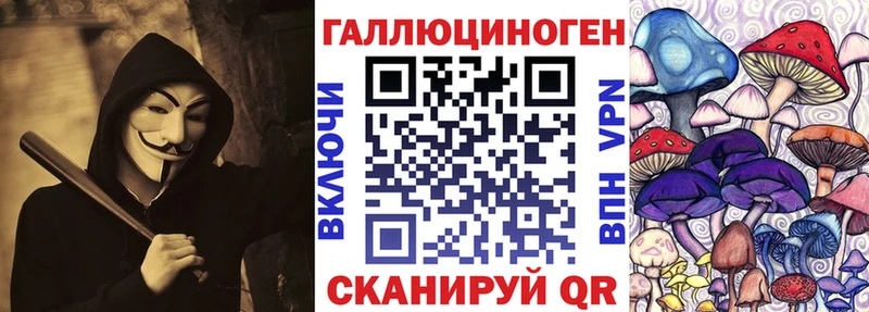 blacksprut tor  Орёл  сайты даркнета клад  купить закладку  Псилоцибиновые грибы MAGIC MUSHROOMS 